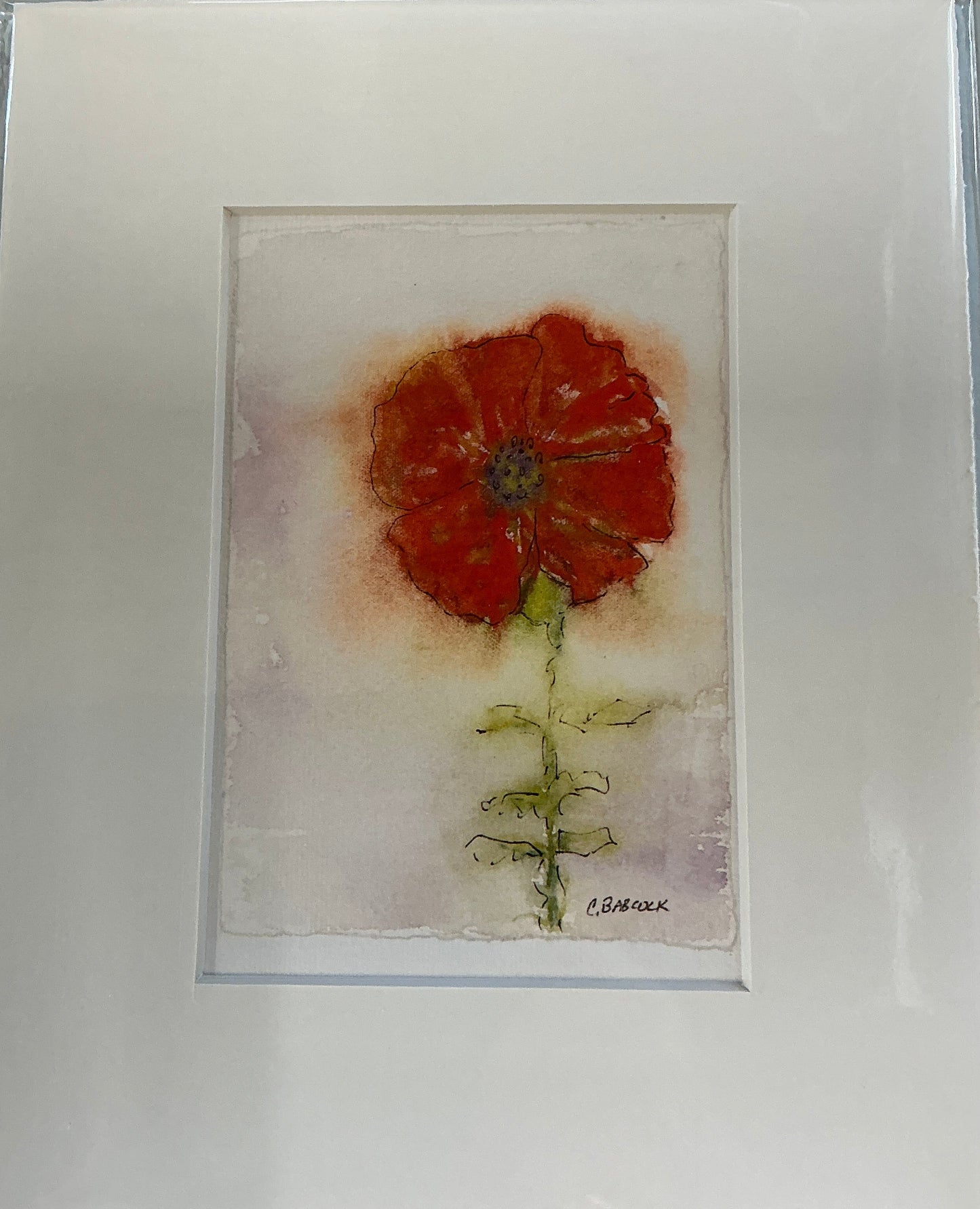 Red poppy 6x9p 9x13m